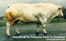 FRANCHI de Saint Fontaine