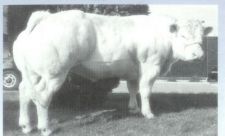 KOVADIS de la Sucrerie