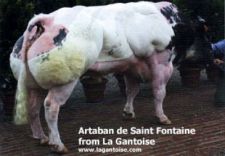 ARTABAN de Saint Fontaine